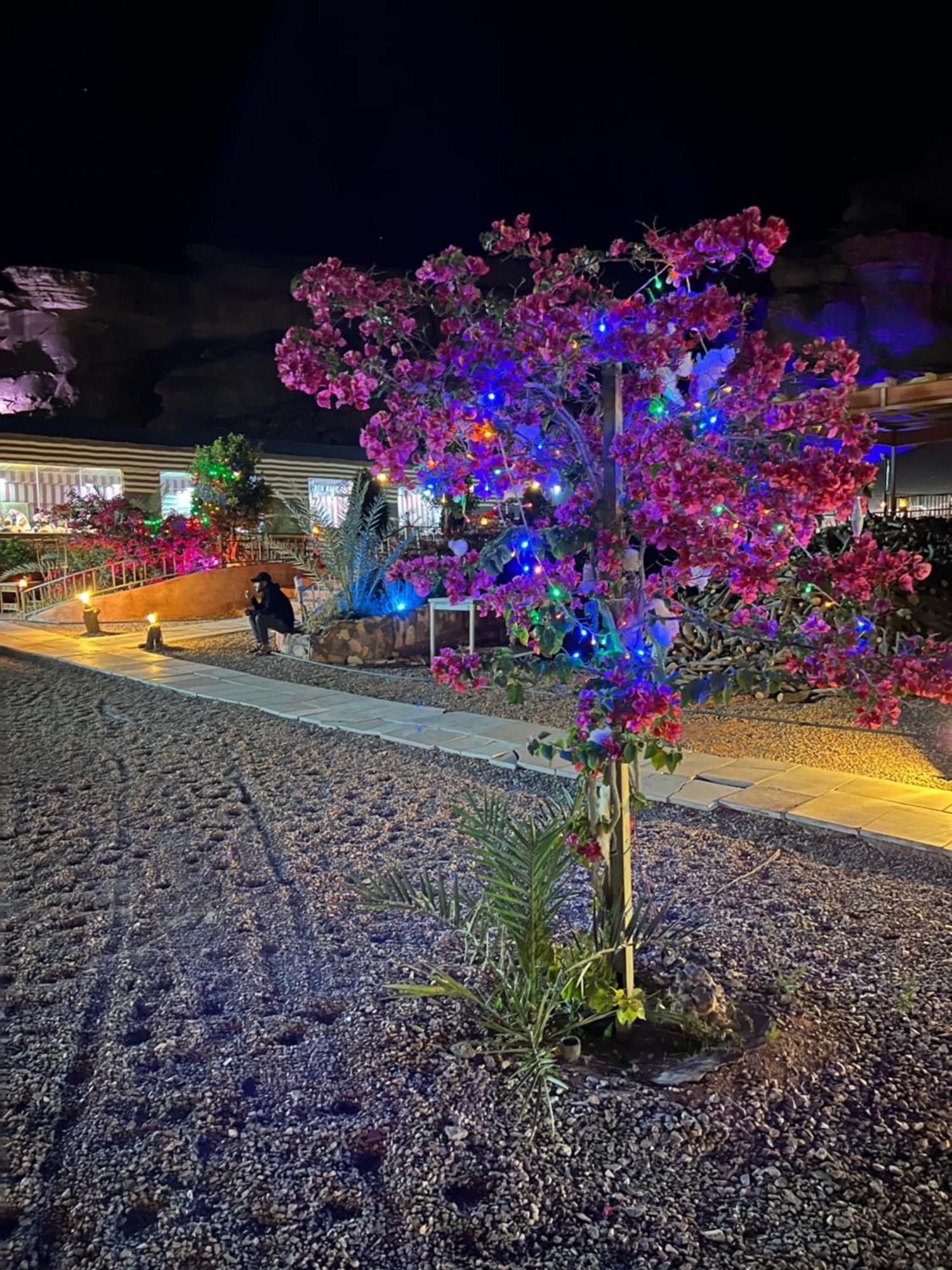 Magic Rum Hussen Wadi Rum Exterior photo
